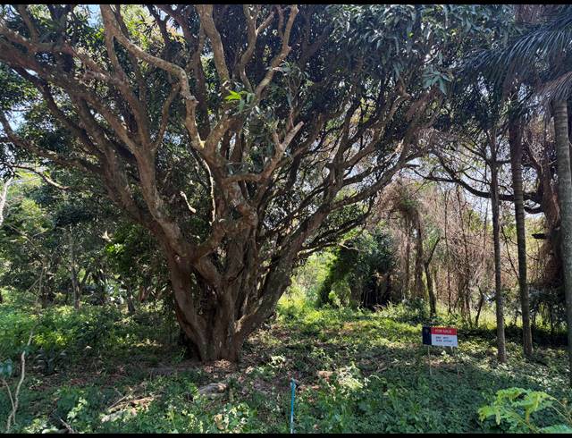 2,171M² VACANT LAND FOR SALE IN SEATON ESTATE